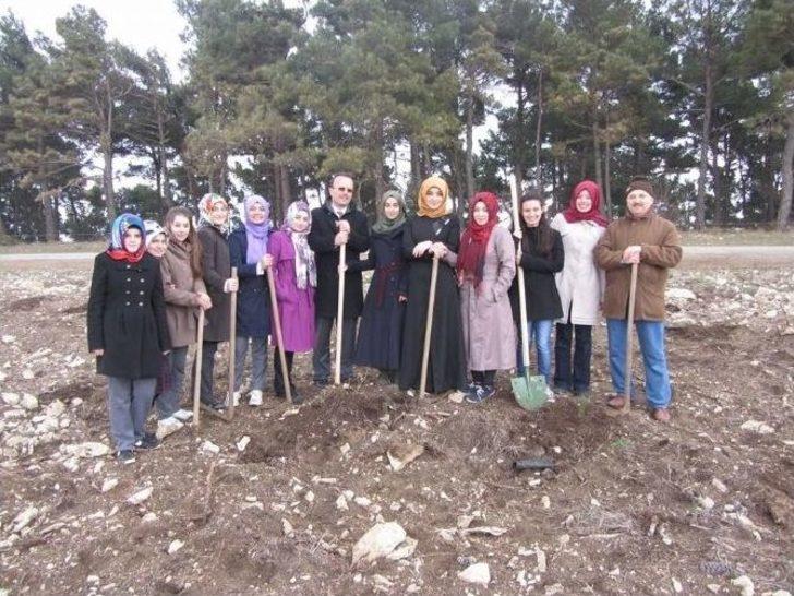Öğrencilerden 100. Yıl Anasına Hatıra Ormanı G1