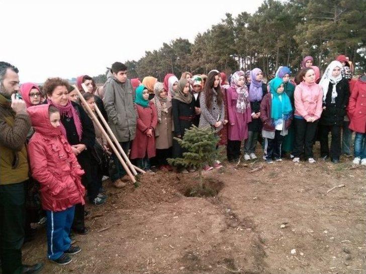 Öğrencilerden 100. Yıl Anasına Hatıra Ormanı G2