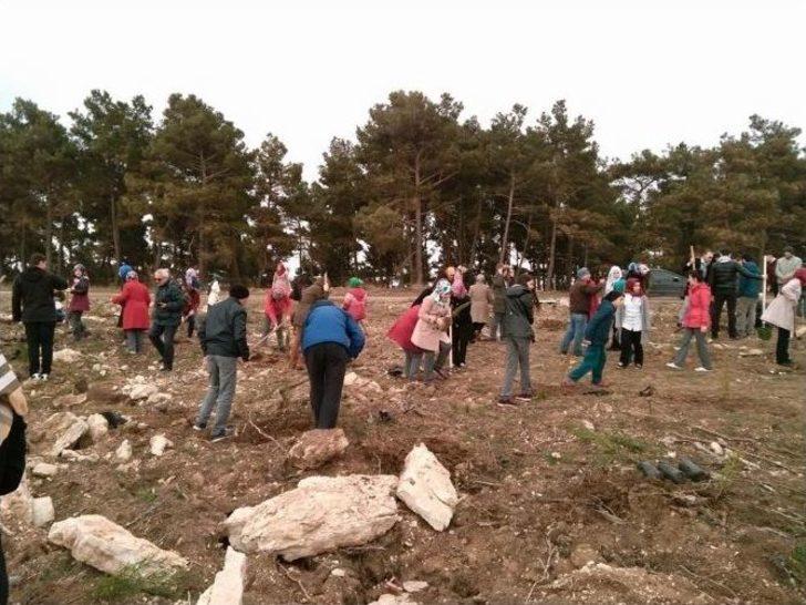 Öğrencilerden 100. Yıl Anasına Hatıra Ormanı G4
