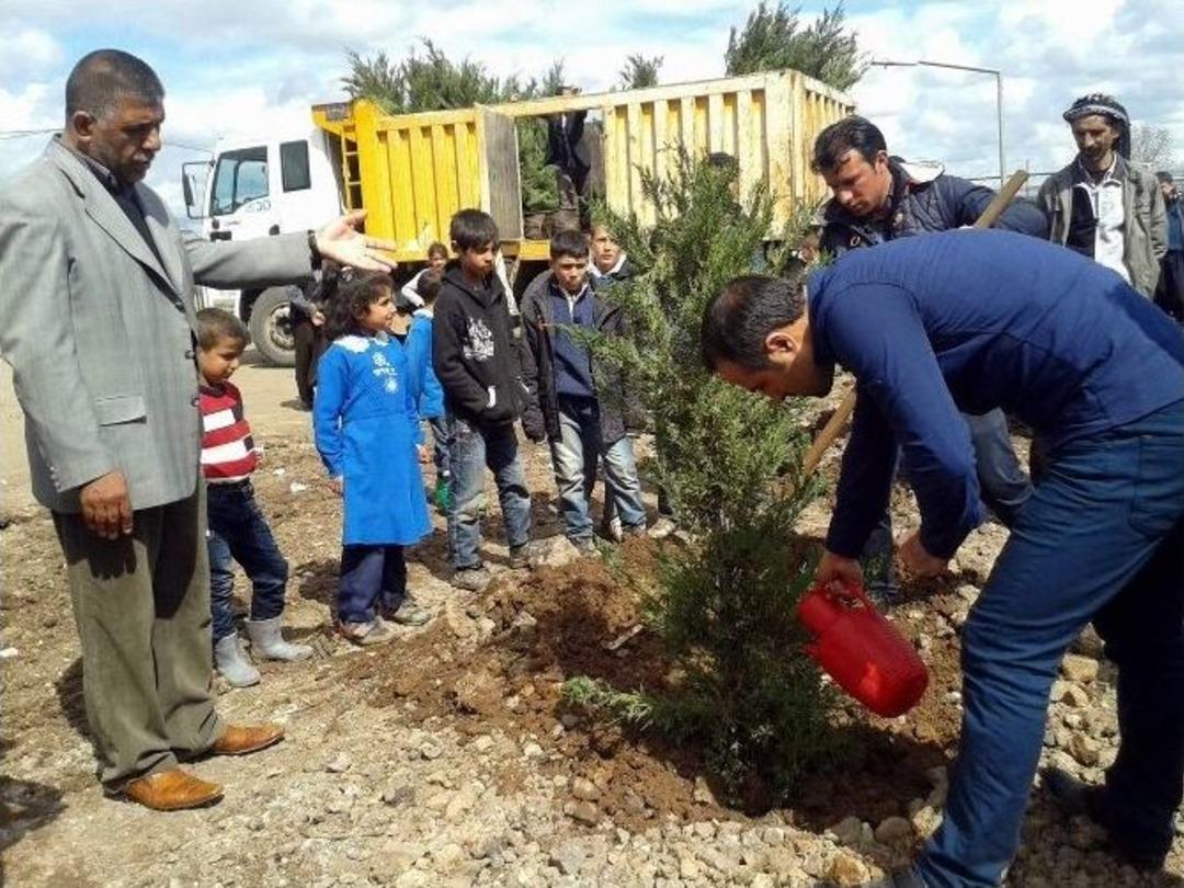 &Ouml;ğrencilerden Ağa&ccedil; Dikimi