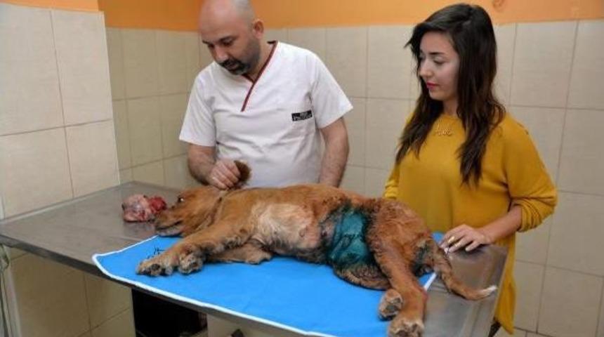 'kuki'den 900 Gram Ur Alındı