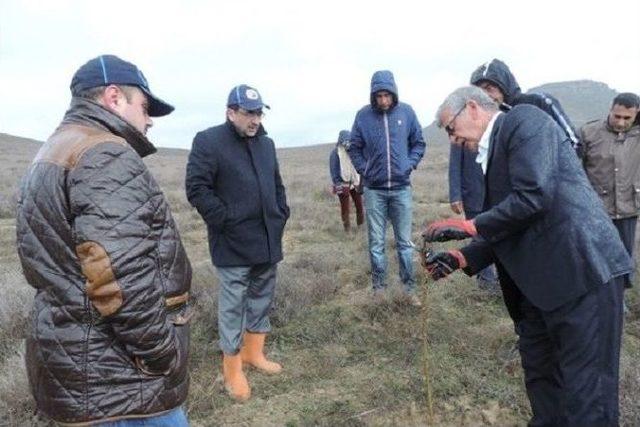 Elazığ’da Aşılı Badem Fidanları Budama Eğitimi Verildi