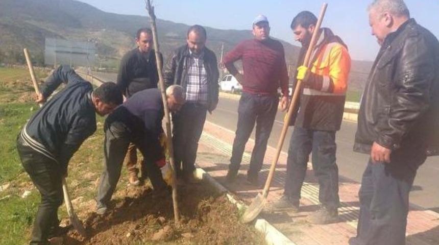 İslahiye&rsquo;De 10 Bin Fidan Dikildi