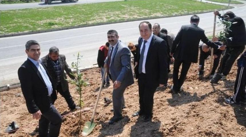 Cizre&rsquo;de Bin 200 Fidan Toprakla Buluştu