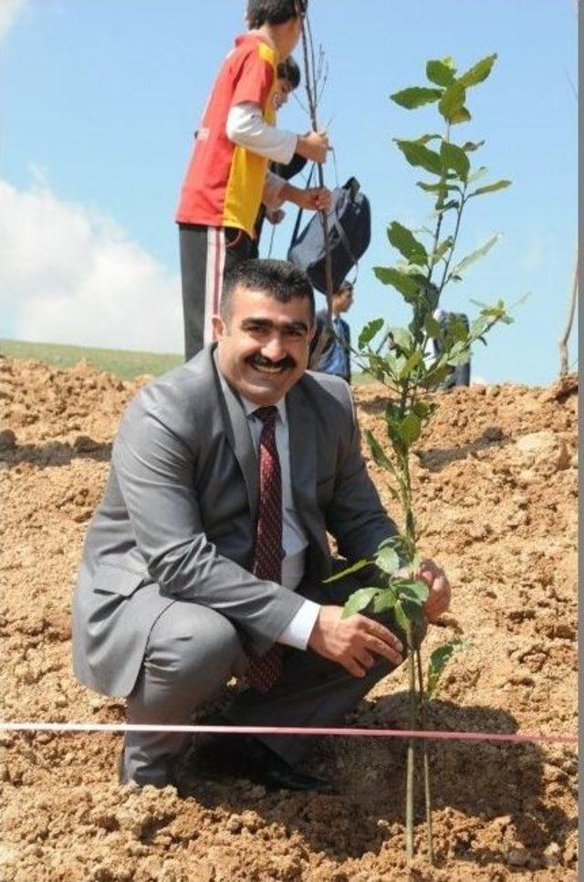 Cizre’de Bin 200 Fidan Toprakla Buluştu