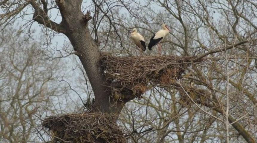 Leylek Şehri Konuklarını Bekliyor