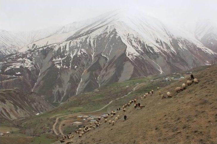 Karlar Eridi Hayvan Sahiplerinin Yüzü Güldü G3