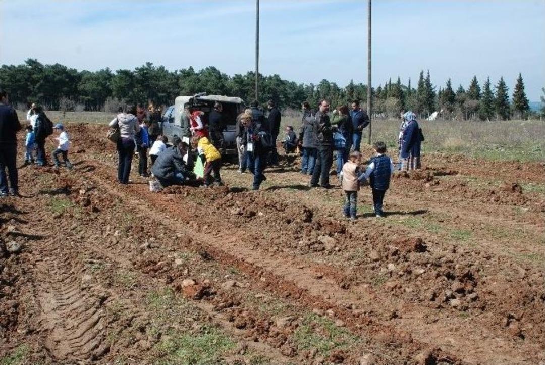 Minik Eller 100 Fidan Dikti