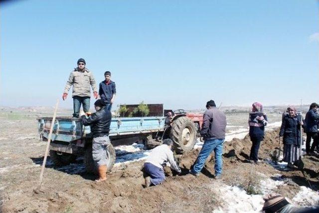 Dinar’ın Afşar Köyünde Ağaç Bayramı Kutlandı