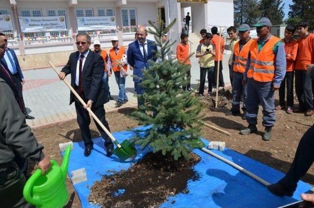 Ağaç Bayramı’nda Fidanlar Toprakla Buluştu