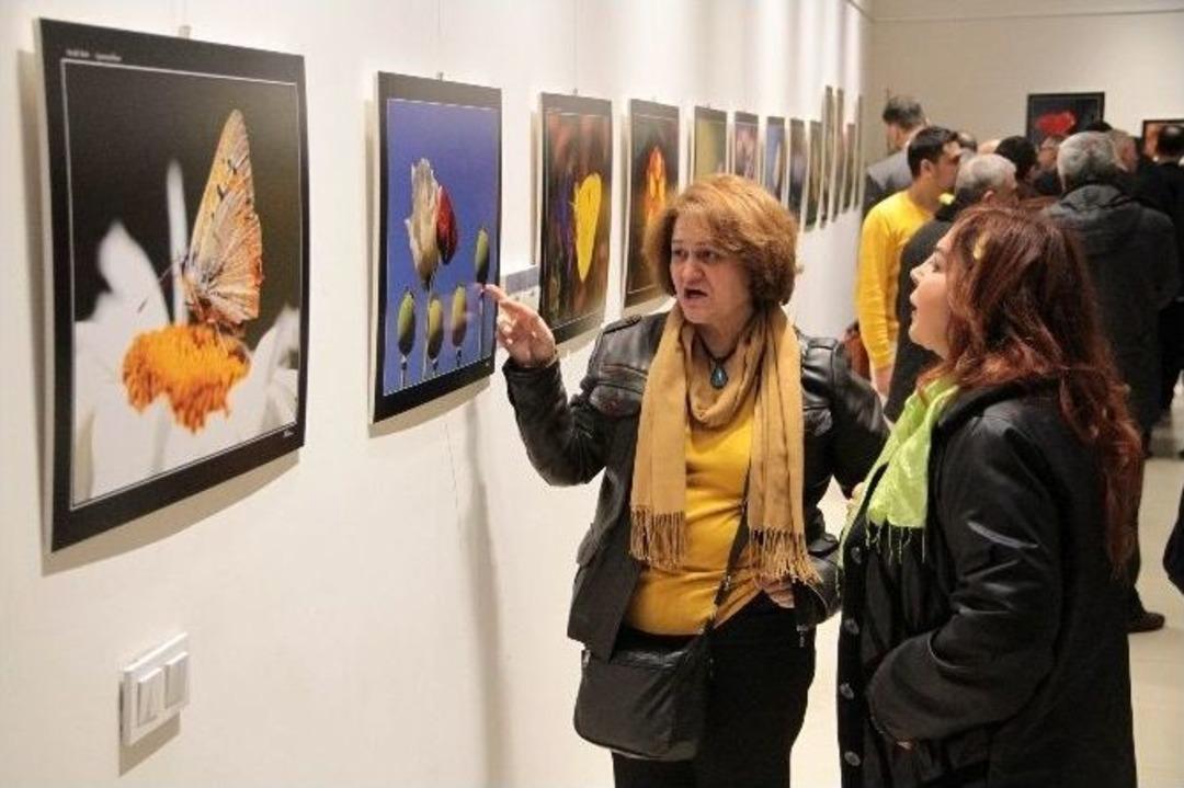 21 Mart D&uuml;nya Ormancılık G&uuml;n&uuml; Fotoğraf Sergisi