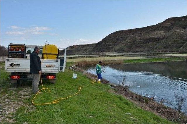 Adıyaman’da Larva Mücadelesi