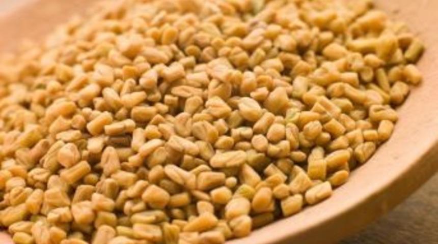 Anne S&uuml;t&uuml;ne Yardımcı &Ccedil;emen Tohumu