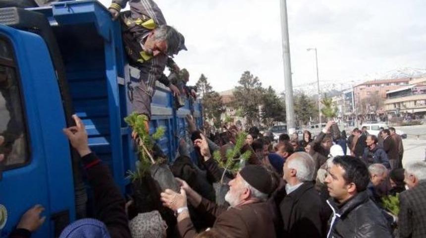 5 Bin Fidan 30 Dakikada Bitti