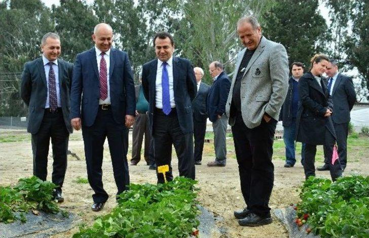 Bakanlık-adanalı Çiftçiler “tarımsal İlaçlamayı” Konuştu G3