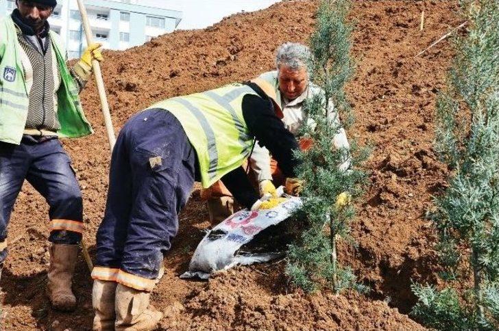 Başkent Ankara’ya 43 Bin Ağaç Daha Dikiliyor G5