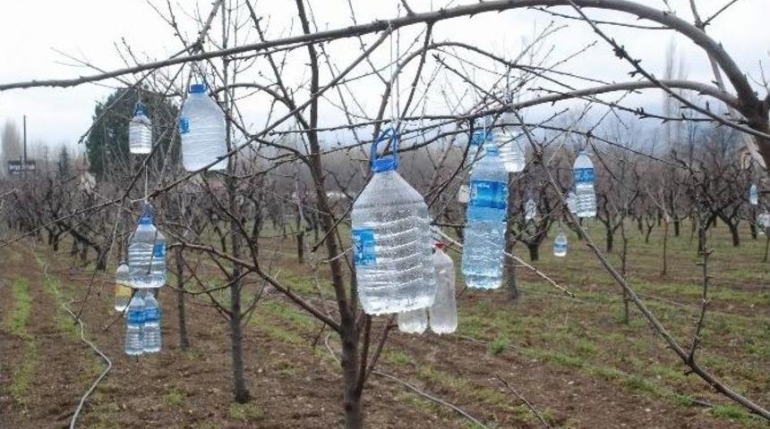 Ağa&ccedil; Dallarına Pet Şişe Asan &Ccedil;ift&ccedil;inin İlgin&ccedil; Y&ouml;ntemi