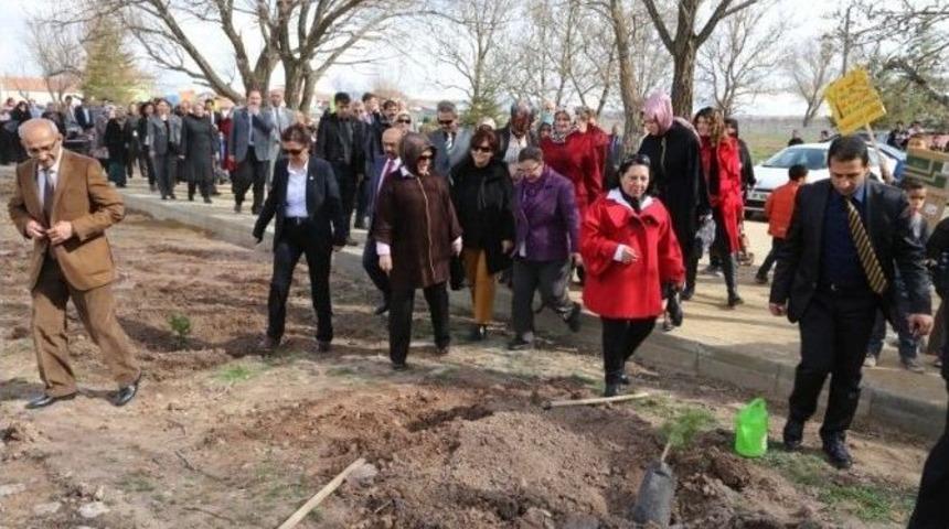 Aksaray&rsquo;da 130 Fidan Toprakla Buluşturuldu