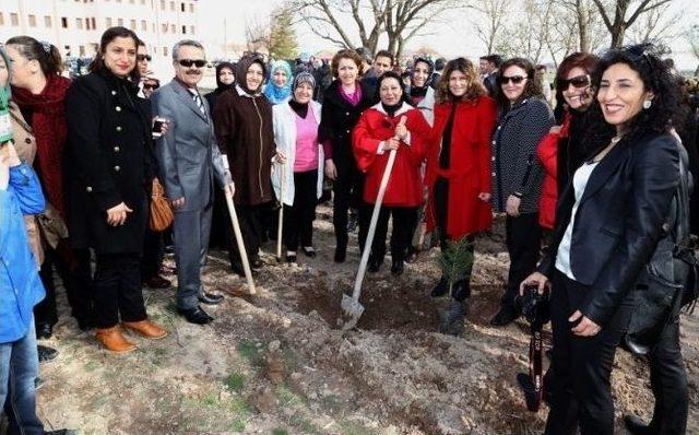 Aksaray’da 130 Fidan Toprakla Buluşturuldu