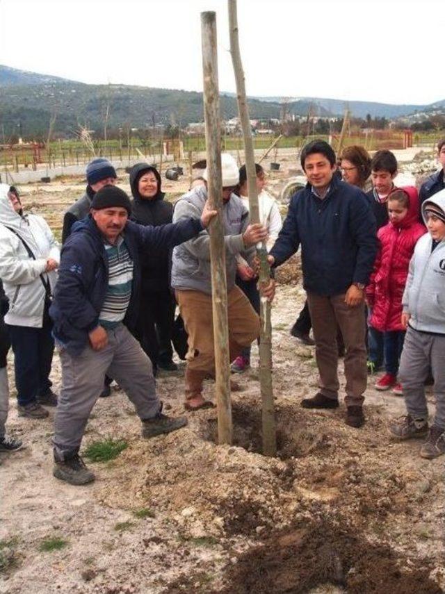 Urla Dostları Derneği Fidanları Toprakla Buluşturdu