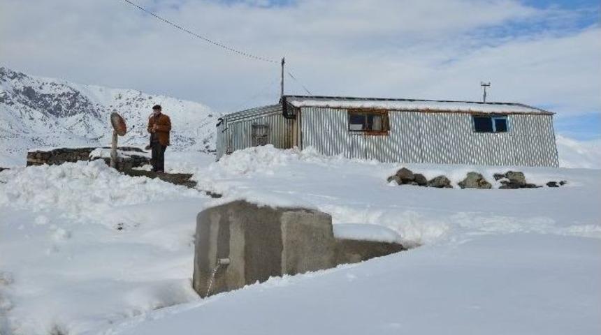 Kaymakam &Ccedil;eviren, Yaşlı Vatandaşın Odunlarını Kesti