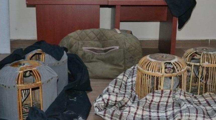 Iğdır&rsquo;da Ka&ccedil;ak Keklik Avcılarına Ceza