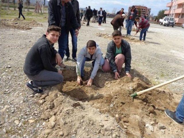 Burhaniye’de Şehitler İçin Ağaç Dikildi