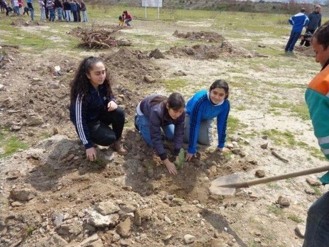 Burhaniye’de Şehitler İçin Ağaç Dikildi