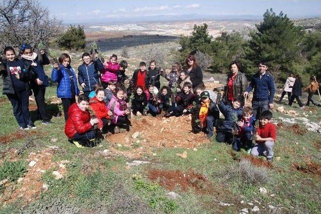 Gkv’li Ve Gap Görme Engelli Minik Eller Engelleri Aştı Fidan Dikti