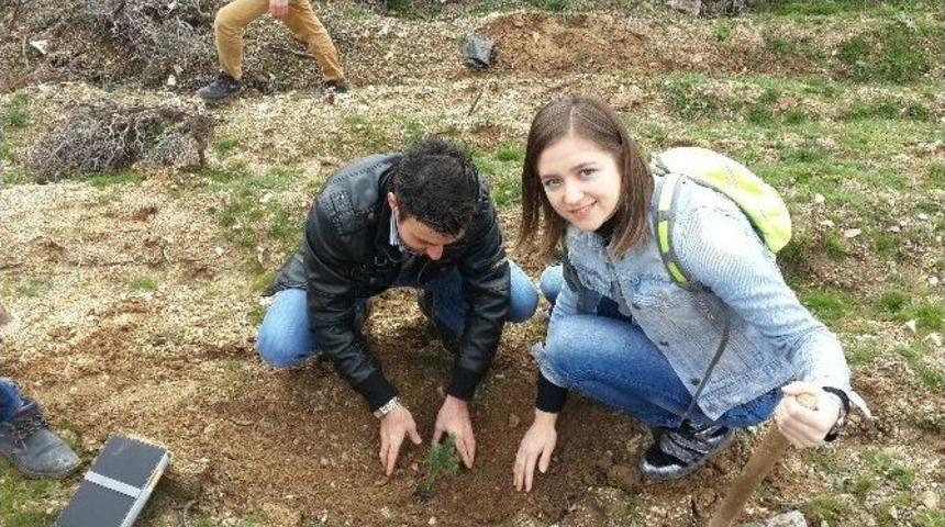 &Uuml;niversiteli &Ouml;ğrenciler Baharı Fidan Dikerek Karşıladı