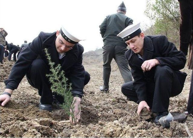 Fidanlar, Şehit Ve Gaziler İçin Dikildi