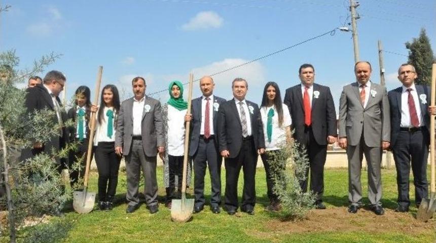 &Ouml;ğrenciler Okulun Bah&ccedil;esine 310 Fidan Dikti