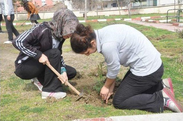 Öğrenciler Okulun Bahçesine 310 Fidan Dikti