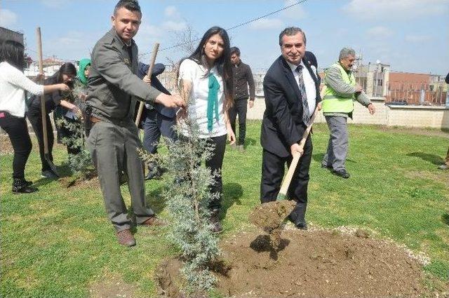 Öğrenciler Okulun Bahçesine 310 Fidan Dikti