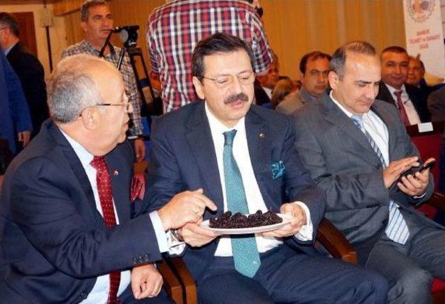 Hisarcıklıoğlu: Kalkınmanın Temel Şartı Kadın Girişimcilerin Sayısının Arttırılması