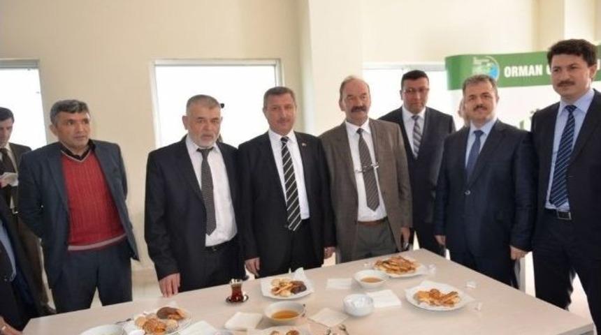 K&uuml;tahya&rsquo;da Yıllık Bal &Uuml;retimi 228 Ton