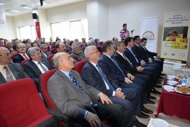 Kütahya’da Yıllık Bal Üretimi 228 Ton