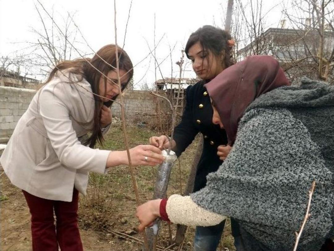 &Uuml;niversiteli &Ouml;ğrencilere Uygulamalı Aşı Ve Budama Eğitimi