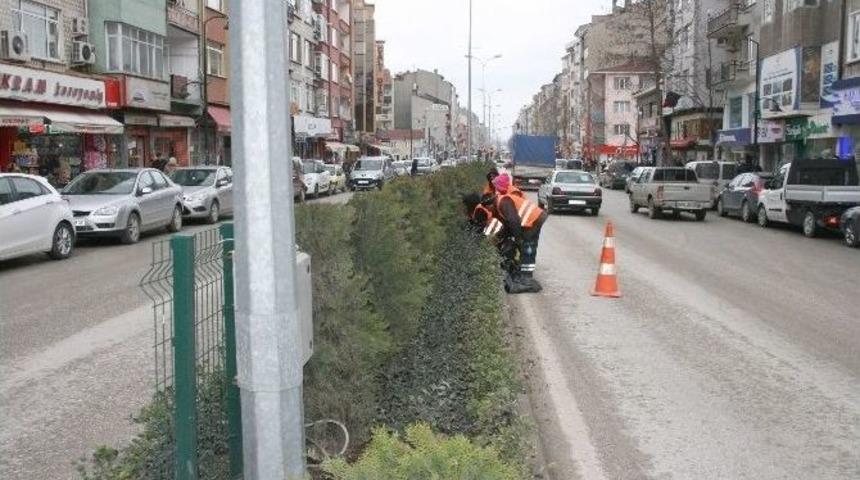 Boz&uuml;y&uuml;k&rsquo;te Orta Ref&uuml;jler Yaza Hazırlanıyor