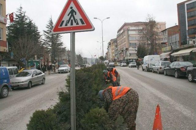 Bozüyük’te Orta Refüjler Yaza Hazırlanıyor