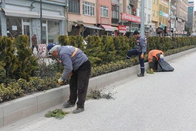 Bozüyük’te Orta Refüjler Yaza Hazırlanıyor