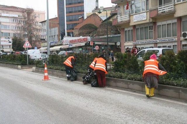 Bozüyük’te Orta Refüjler Yaza Hazırlanıyor