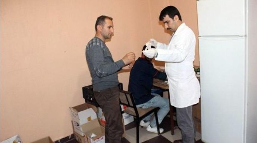 Yaralı Şahine Lokanta &Ccedil;alışanı Yardım Etti