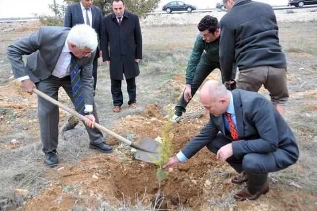 Tüketici Haftası Resim Yarışması Ve Satranç Ödül Töreni