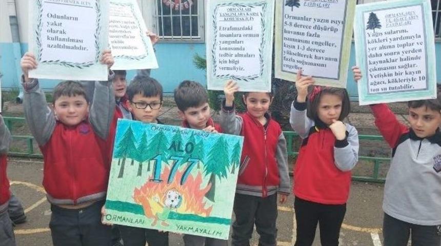 &ldquo;ormanlarımıza Dokunmayın&rdquo; Dediler