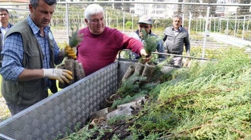 İzmir&rsquo;de Yanan Ormanlık Alan Ağa&ccedil;landırıldı