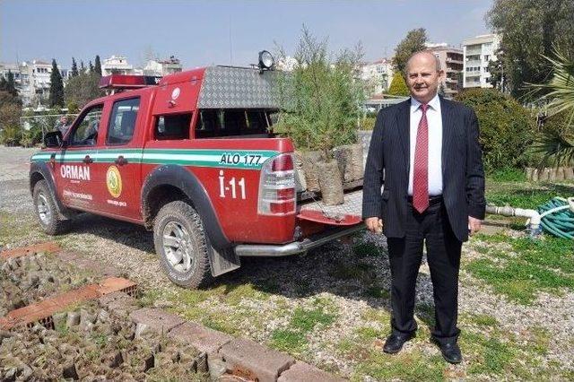 İzmir’de Yanan Ormanlık Alan Ağaçlandırıldı