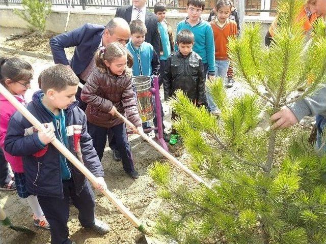 Tosya’da Ormancılık Haftası Kutlandı