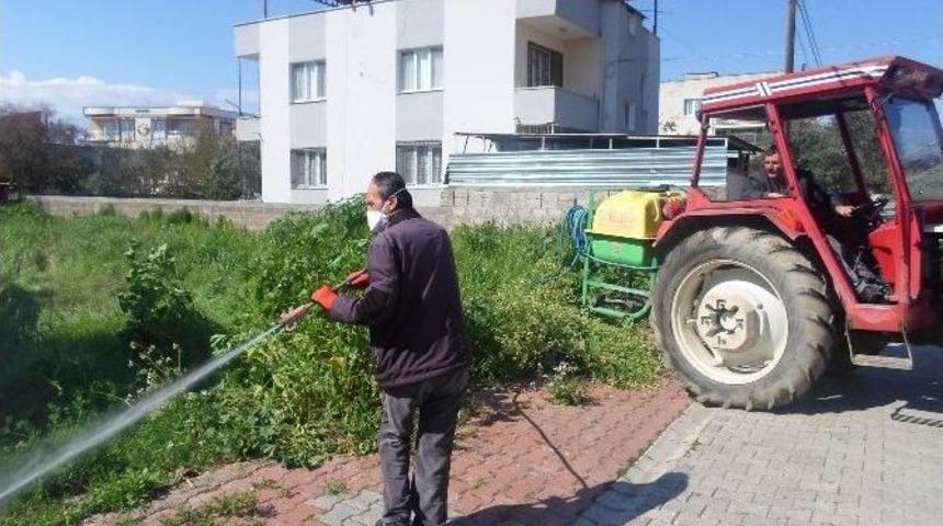 Ceyhan&rsquo;da "ot" M&uuml;cadelesi