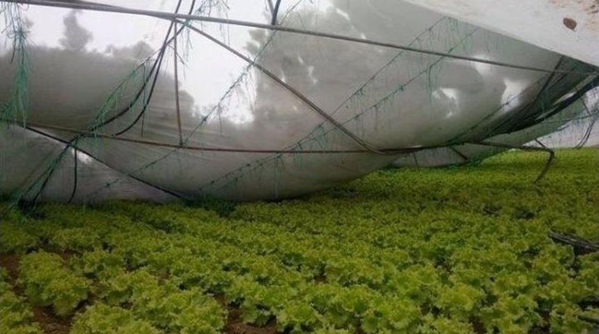 Bilecik&rsquo;te Kar Yağışından Seraları Hasarn &Ccedil;ift&ccedil;iler